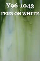 Y96-1043 FERN ON WHITE