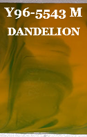 Y96-5543 M DANDELION 