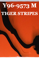 Y96-9573 M TIGER STRIPES